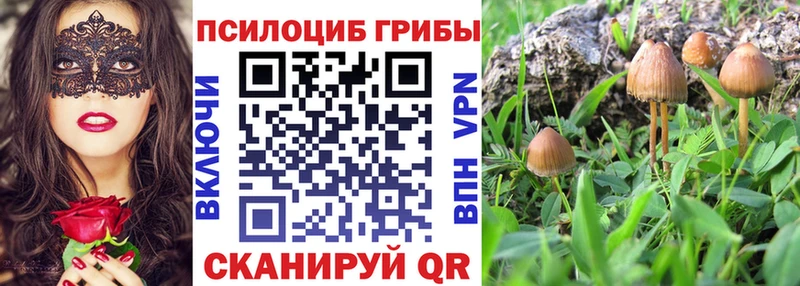 Псилоцибиновые грибы Magic Shrooms  наркотики  Брюховецкая 
